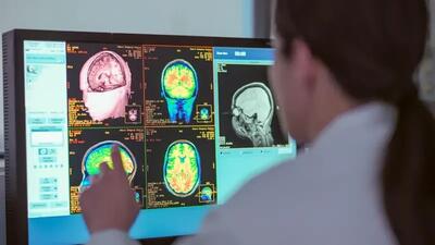 اینفوگرافی | چهار سن طلایی مغز