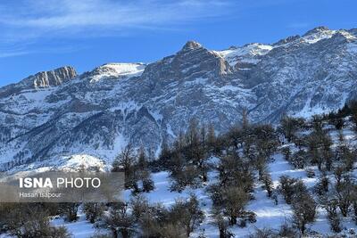 هیرکانی در آغوش زمستان
