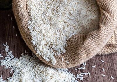 تغییرات قیمت برنج در بازار | اندیشه قرن