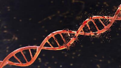 کند کردن روند سرطان روده با یک برنامه ورزشی ساده روزانه