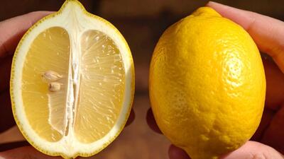 قند خون را فراموش کنید / این لیمو یک گنج واقعی است!