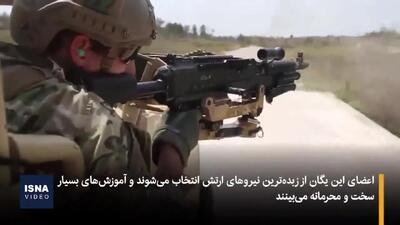 ببینید| دلتا فورس چیست؟ روایت بازداشت مادورو