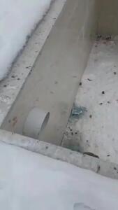 تلاش یکی از روستاییان میاب مرند برای نجات روباه و سوسار گرفتار در استخر