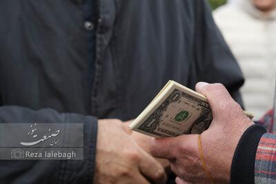 بازار ارز می‌لرزد؛ فاصله تابلو تا کف معامله رکورد زد