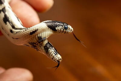 جهان در سال 2025 به روایت تصویر_ بخش سوم