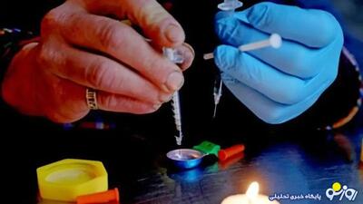 ۸۵ ماده مخدر جدید از جمله کیت کت چطور وارد کشور شد؟