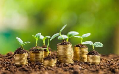 مدیریت سبز یا سبزشویی، مسئله این است