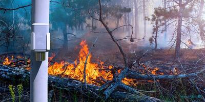 مبین‌نت با سرویس «الرت» مجوز دانش‌بنیان نوآور دریافت کرد - پیوست