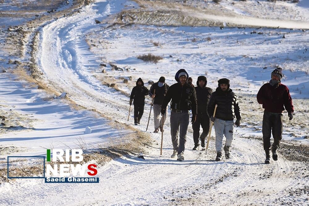 عکس/ادامه جست‌و‌جو برای یافتن نوجوان مفقود شده اهری