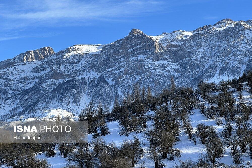 هیرکانی در آغوش زمستان